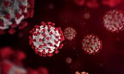 Orbivirus